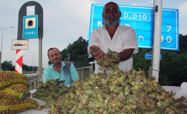 Fındık yola indi Fındık yola indi