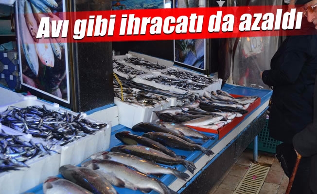 Avı gibi ihracatı da azaldı Avı gibi ihracatı da azaldı