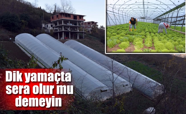 Dik yamaçta sera olur mu demeyin Dik yamaçta sera olur mu demeyin