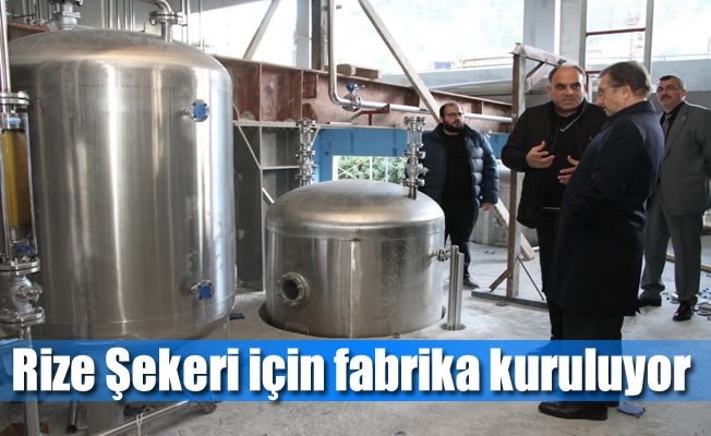 Rize Şekeri için fabrika kuruluyor Rize Şekeri için fabrika kuruluyor