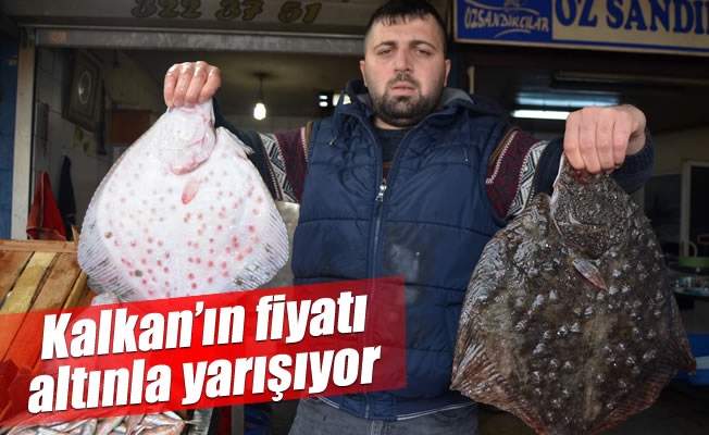 Kalkan’ın fiyatı altınla yarışıyor Kalkan’ın fiyatı altınla yarışıyor