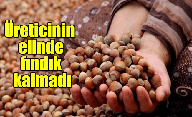 Karan, “Üreticinin elinde fındık kalmadı" Karan, “Üreticinin elinde fındık kalmadı"