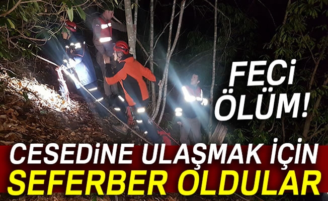 Kestiği ağaç üzerine devrilen şahıs hayatını kaybetti Kestiği ağaç üzerine devrilen şahıs hayatını kaybetti