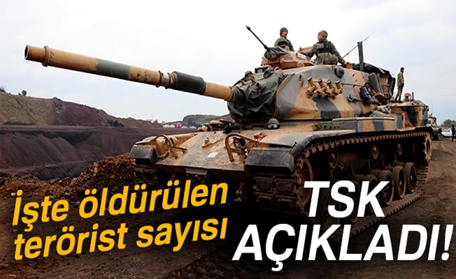 TSK: '712 terörist etkisiz hale getirildi' TSK: '712 terörist etkisiz hale getirildi'