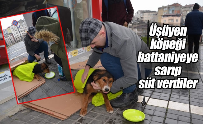 Üşüyen köpeği battaniyeye sarıp süt verdiler Üşüyen köpeği battaniyeye sarıp süt verdiler