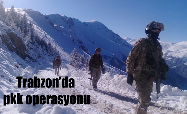 Trabzon'da pkk operasyonu
