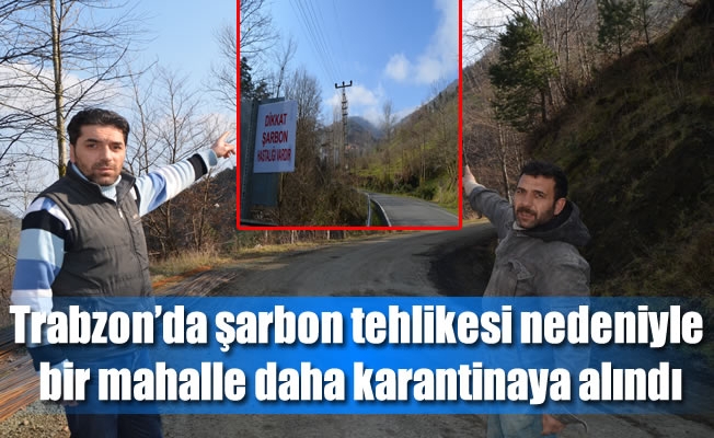 Trabzon’da şarbon tehlikesi nedeniyle bir mahalle daha karantinaya alındı