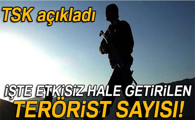 TSK: '1369 terörist etkisiz hale getirildi'