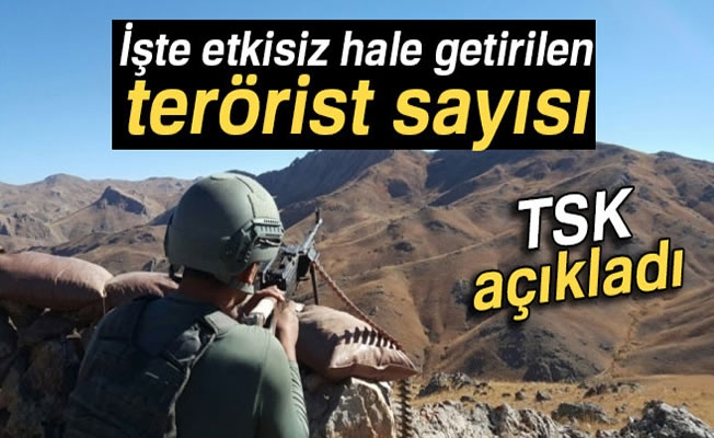 TSK: '1528 terörist etkisiz hale getirildi' TSK: '1528 terörist etkisiz hale getirildi'