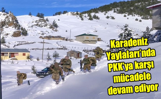 Karadeniz Yaylaları'nda PKK’ya karşı mücadele devam ediyor