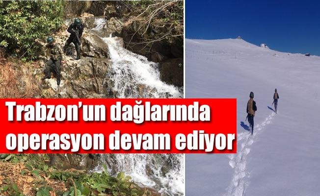 Trabzon'un dağlarında aranmadık yer bırakmıyorlar Trabzon'un dağlarında aranmadık yer bırakmıyorlar