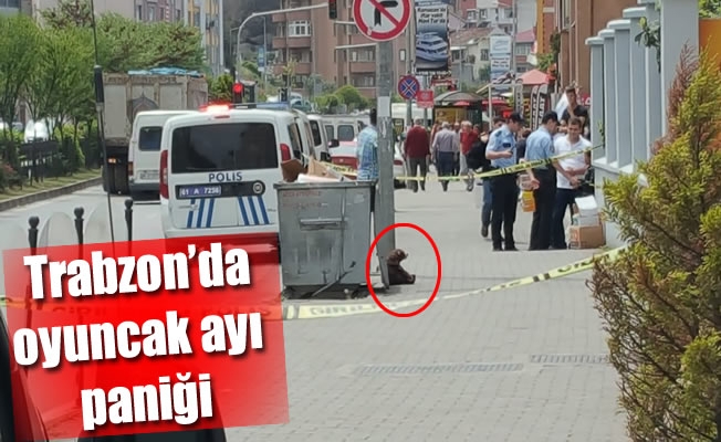 Trabzon'da oyuncak ayı paniği Trabzon'da oyuncak ayı paniği