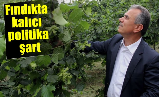 Fındıkta kalıcı politika şart Fındıkta kalıcı politika şart