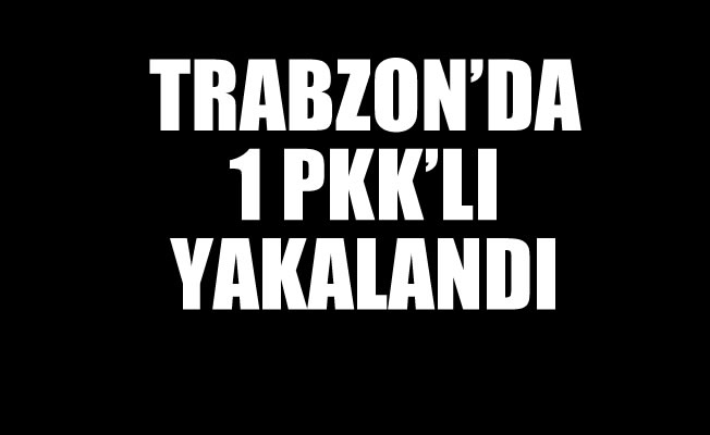 Trabzon'da bir Pkk'lı yakalandı Trabzon'da bir Pkk'lı yakalandı