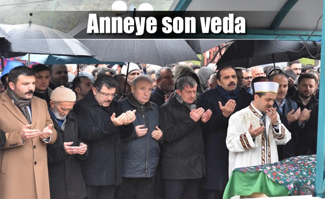 Anneye son veda Anneye son veda