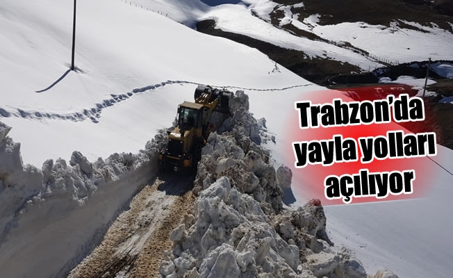 Trabzon'da yayla yolları açılıyor Trabzon'da yayla yolları açılıyor