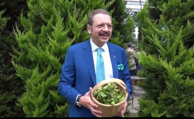 Hisarcıklıoğlu da “Dünyanın Fındığı Burada” dedi Hisarcıklıoğlu da “Dünyanın Fındığı Burada” dedi