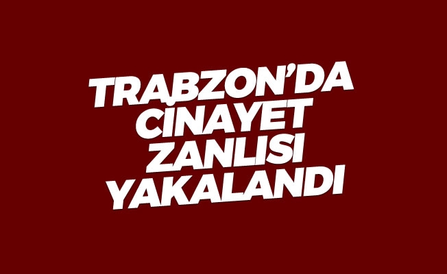 Cinayet zanlısı yakalandı Cinayet zanlısı yakalandı
