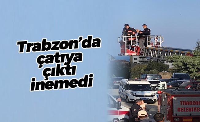 Trabzon'da çatıya çıktı inemedi Trabzon'da çatıya çıktı inemedi
