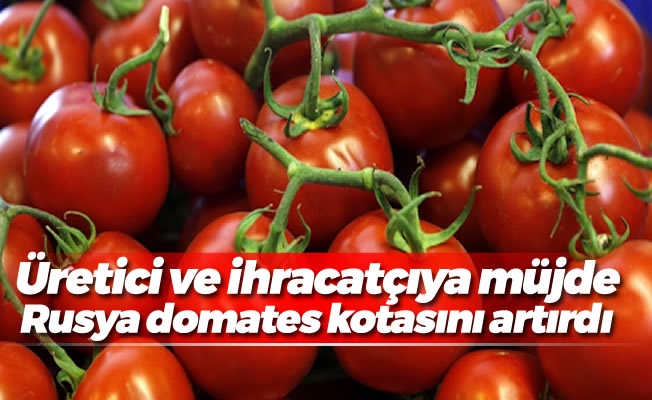Rusya'ya yönelik domates ihracatında kota 200 bin tona yükseltildi
