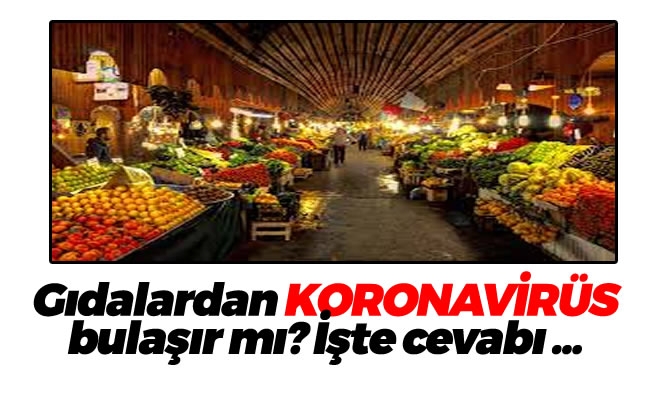 En merak edilen 15 “koronavirüs” sorusuna yanıt!