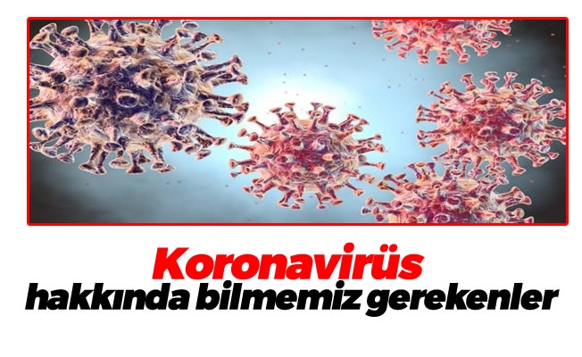 Koronavirüs hakkında bilmemiz gerekenler