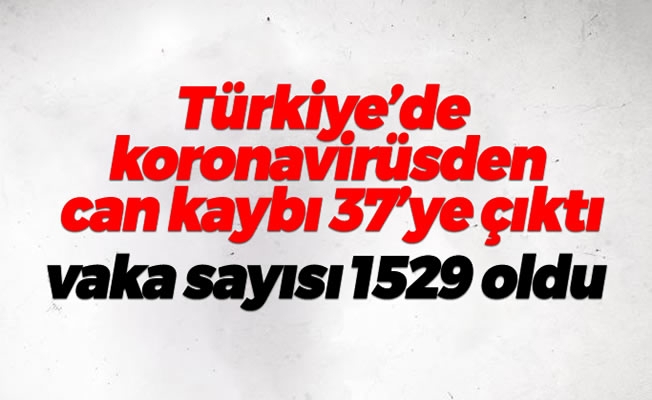 Türkiye'de koronadan can kaybı 37'ye çıktı