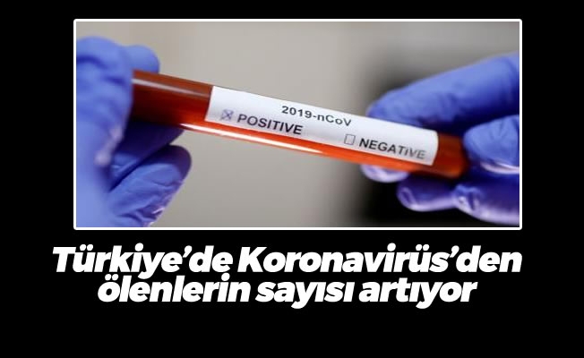 Türkiye'de Koronavirüs'den ölenlerin sayısı artıyor
