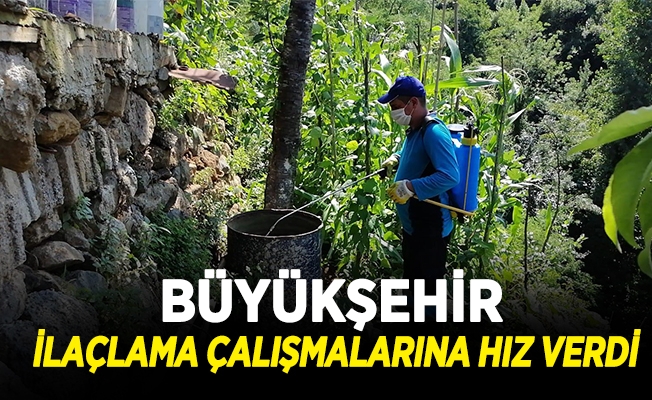 Büyükşehir İlaçlama Çalışmalarına Hız Verdi Büyükşehir İlaçlama Çalışmalarına Hız Verdi