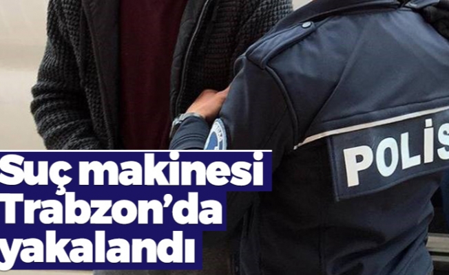 Suç makinesi Trabzon'da yakalandı Suç makinesi Trabzon'da yakalandı