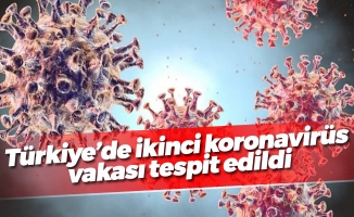 Türkiye'de ikinci koronavirüs vakası