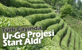 Türk Çayının Ur-Ge Projesi Start Aldı