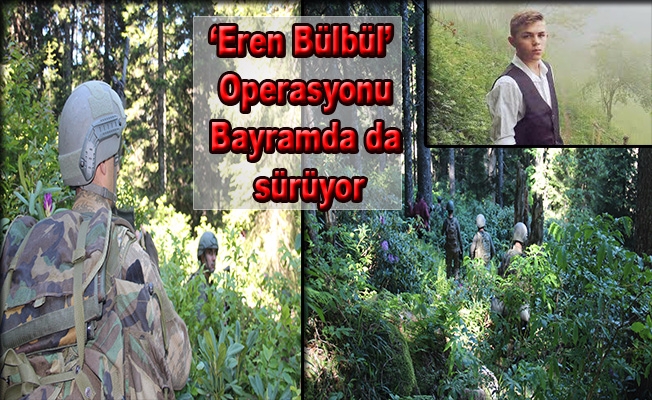 ‘Eren Bülbül’ Operasyonu Kurban Bayramı'nda da sürüyor