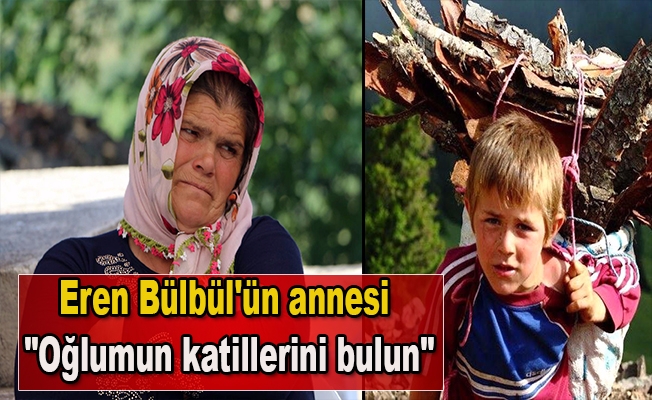 Eren Bülbül'ün annesi Ayşe Bülbül: "Oğlumun katillerini bulun"