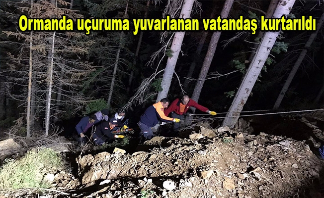 Ormanda uçuruma yuvarlanan vatandaş kurtarıldı