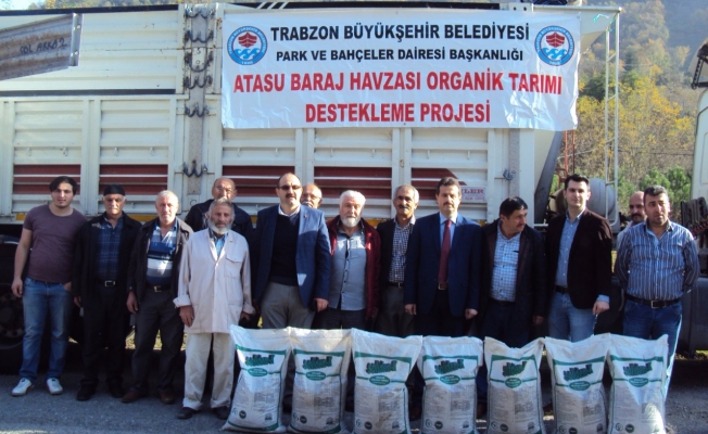 Trabzon’da organik tarım  meyvelerini vermeye başladı