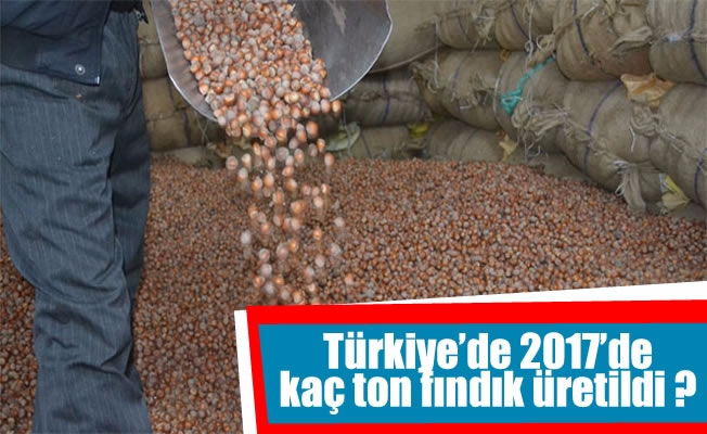 Türkiye'de 2017'de 600 bin ton fındık üretimi gerçekleşti