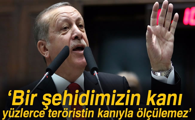 Erdoğan: Bizim bir şehidimizin kanı yüzlerce teröristin kanıyla ölçülemez
