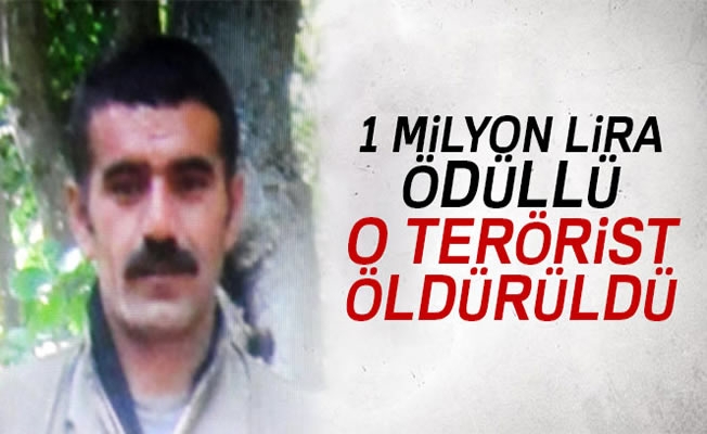 1 milyon lira ödüllü o terörist öldürüldü