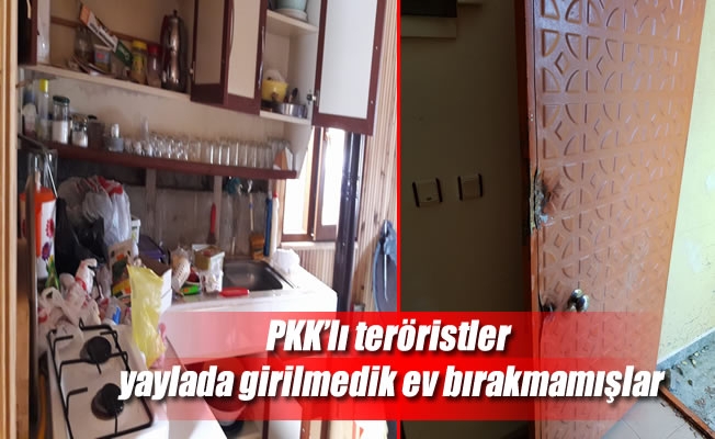 PKK'lı teröristler yaylada girilmedik ev bırakmamışlar