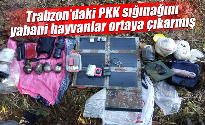 Trabzon'daki PKK sığınağını yabani hayvanlar ortaya çıkarmış