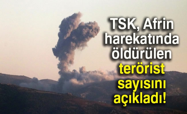 TSK: Zeytin Dalı Harekâtı'nda 790 terörist etkisiz hâle getirildi
