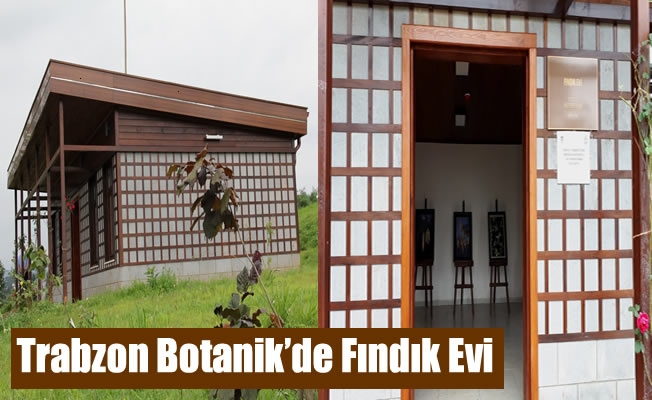 Trabzon Botanik'de Fındık Evi