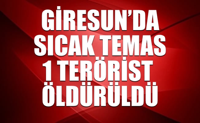 Giresun'da 1 terörist öldürüldü