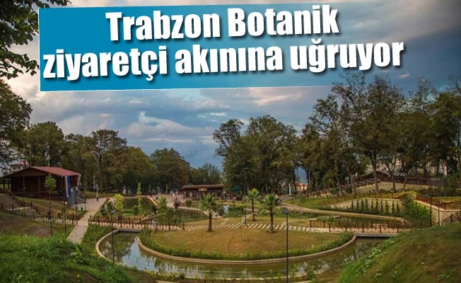 Trabzon Botanik ziyaretçi akınına uğruyor