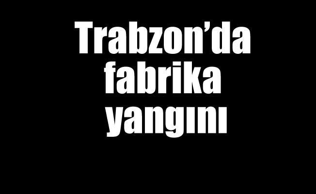 Trabzon'da fabrika yangını