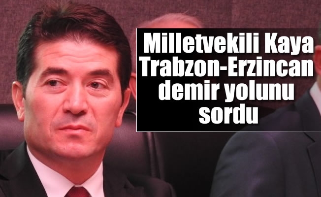 Milletvekili Kaya,Trabzon-Erzincan demir yolunu sordu