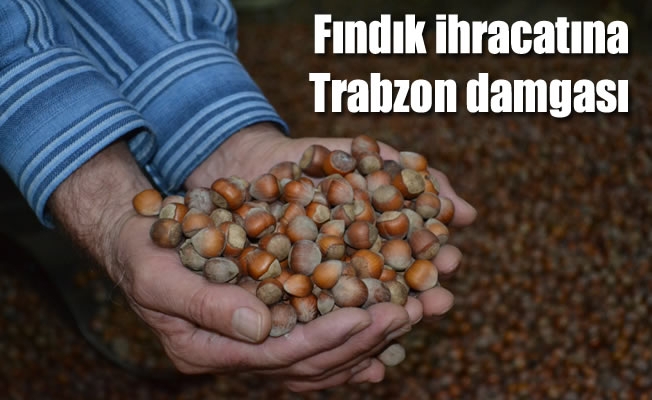 Fındık ihracatına Trabzon damgası