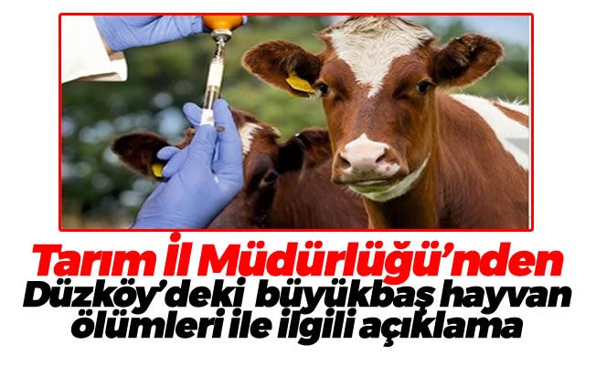 Tarım İl Müdürlüğü'nden Düzköy'deki hayvan ölümleri ile ilgili açıklama