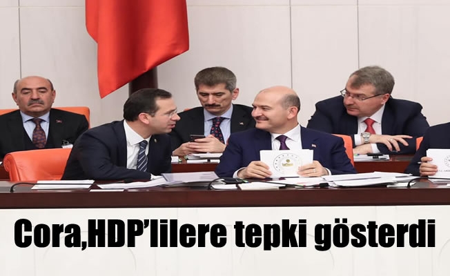 Cora,HDP'lilere tepki gösterdi